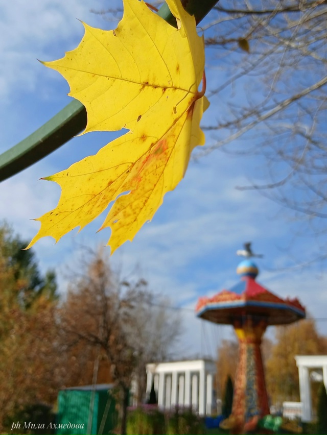 Городской парк.🍁🎡🎠
Октябрь.