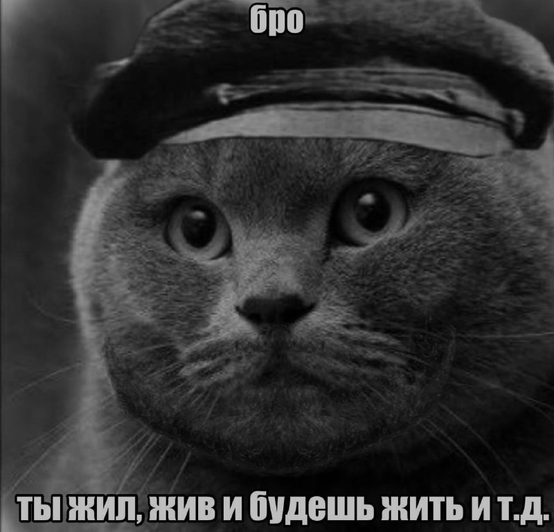 Ночная подборочка
Спать, режим