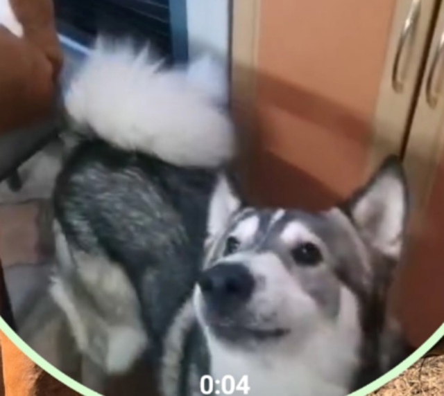 Доброго времени суток!
Очень прошу опубликовать запис?...