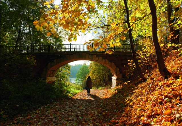 Суханово прекрасно всегда, но сейчас особенно!🍂