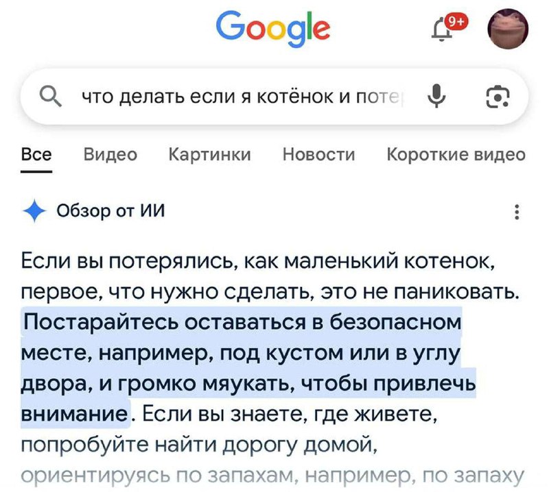 «Постарайтесь громко мяукать, чтобы привлечь внимание» — нейросеть от Google выдала инструкцию для т