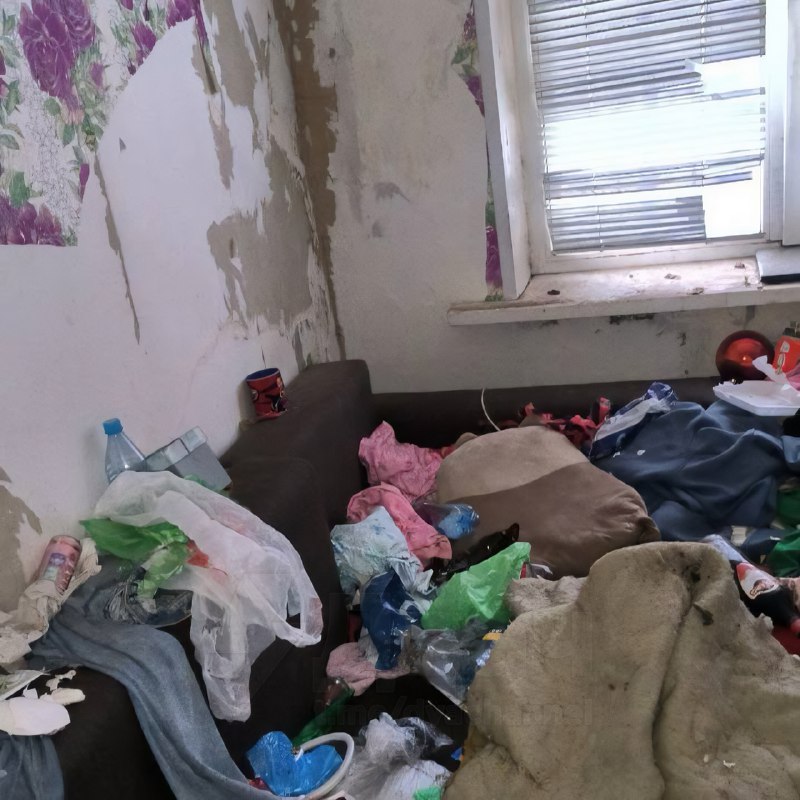 Российская альтушка превратила съёмную квартиру в свалку — среди мусора даже нашли мёртвую кошку
Жи