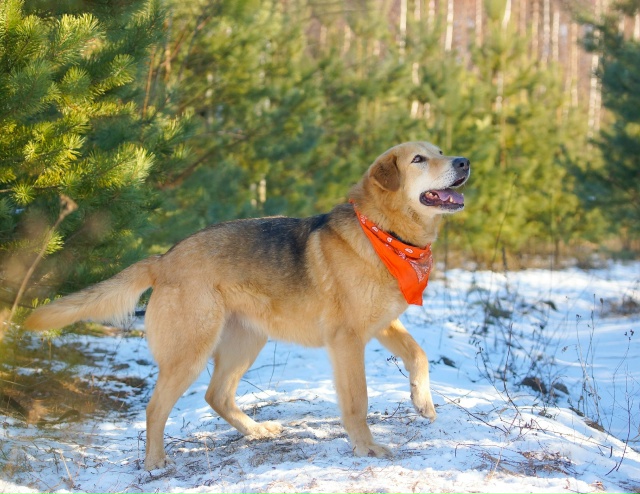 НУЖЕН ДОМ В МОЖАЙСКЕ!!!
Знакомьтесь Боня — она же Бони?...