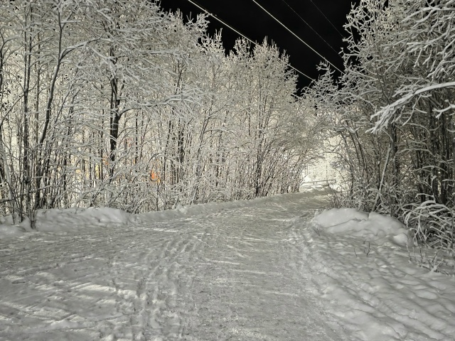 ✨️Очарование зимнего вечера