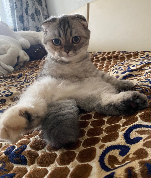 Посидеть подумать?
Помыться хорошо ?
И спать можно ...