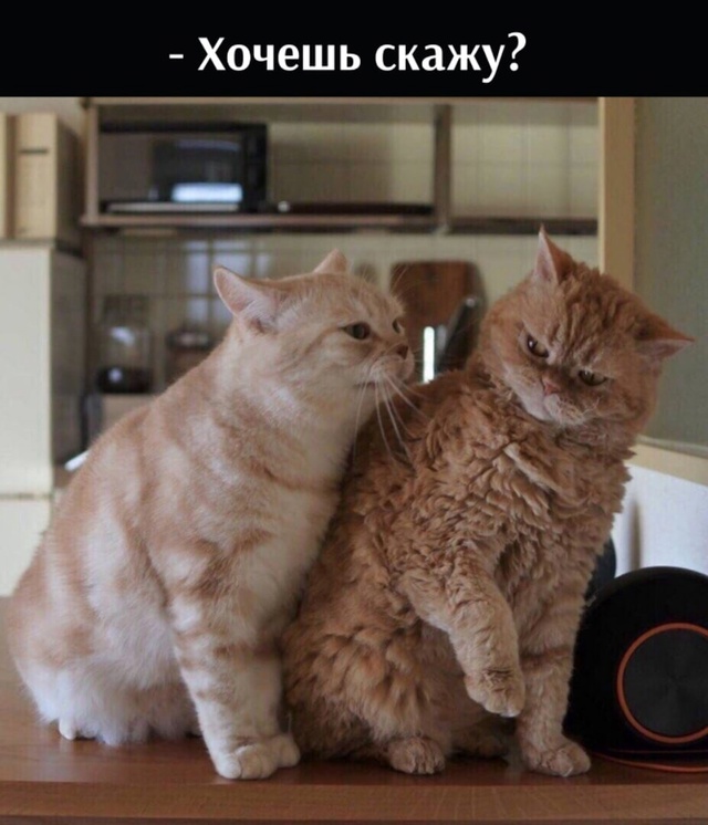 😂😂😂