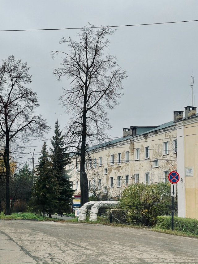 ☕️ Родники, просыпаемся в среду, 29 октября.
За окном —...