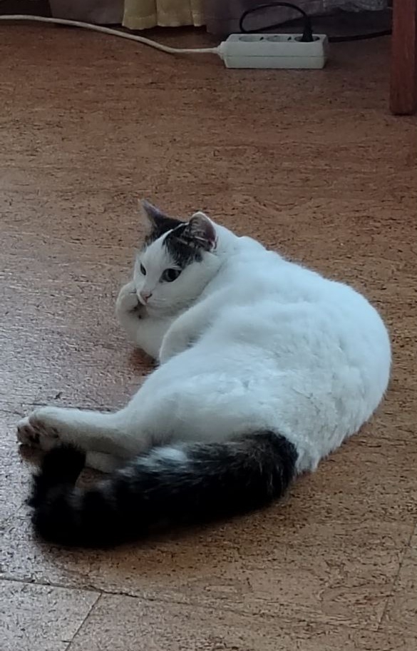 Задумалась 🤔