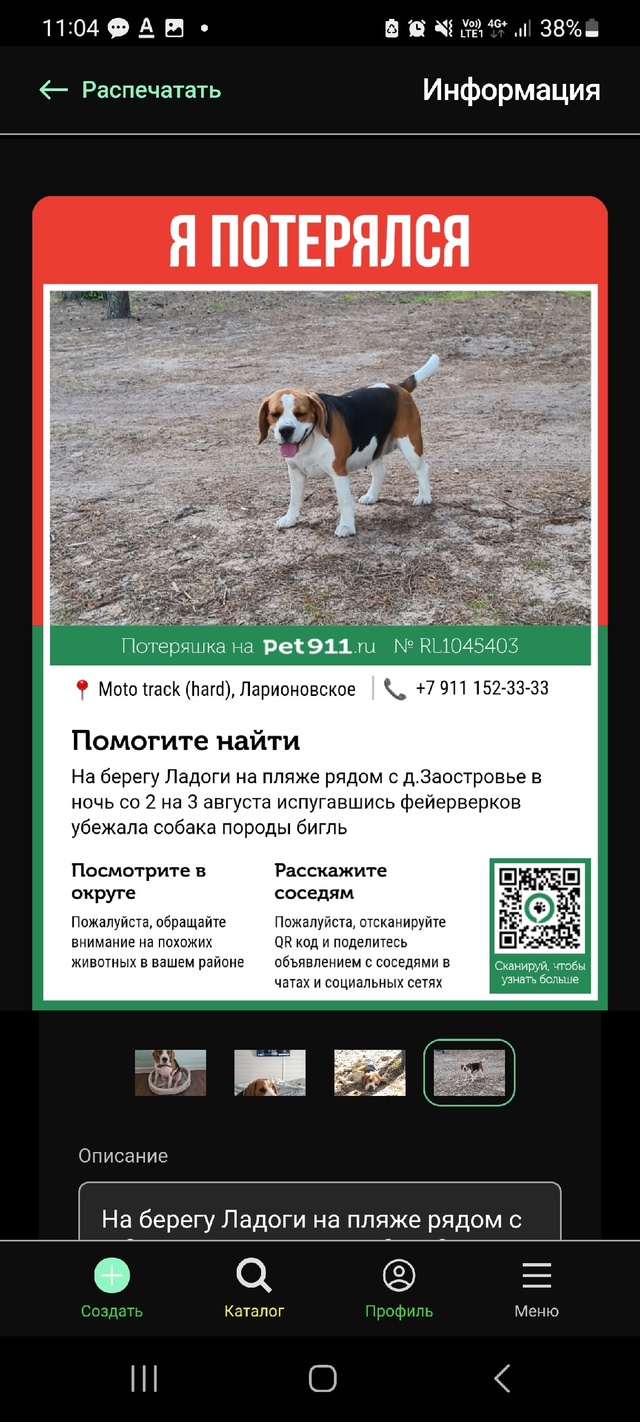 На берегу Ладоги на пляже рядом с д.Заостровье в ночь с?...