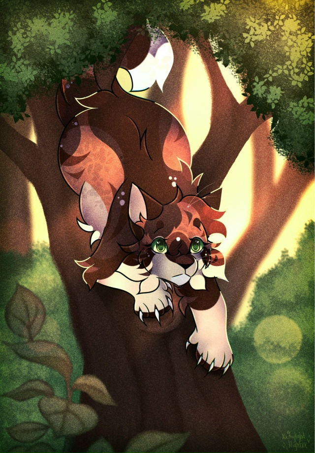 Рыжинка — редрав иллюстрации польского издания «Введ?...