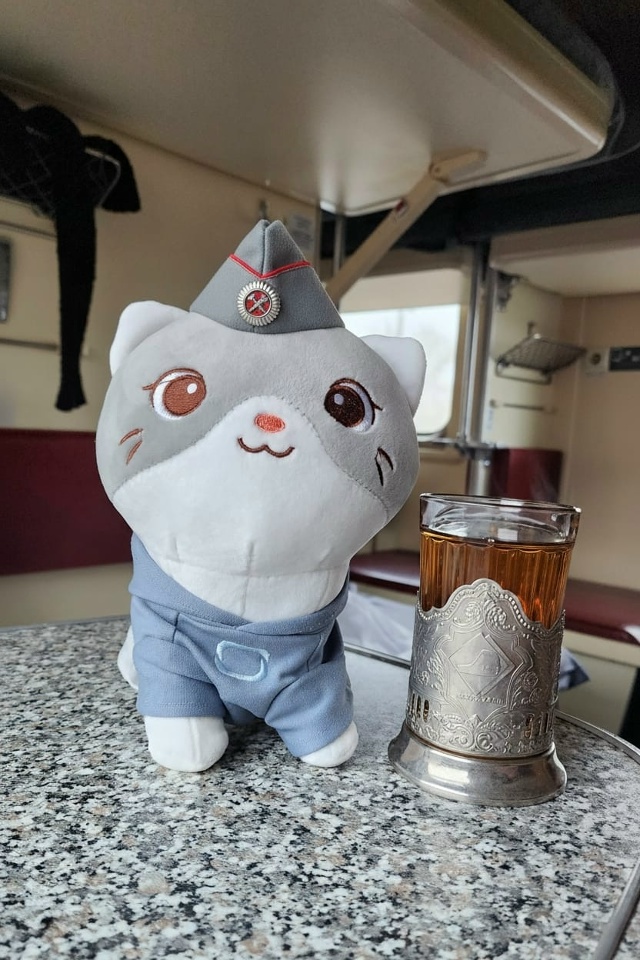 Кот Моди в худи
#КотМодиВхудиOmoda