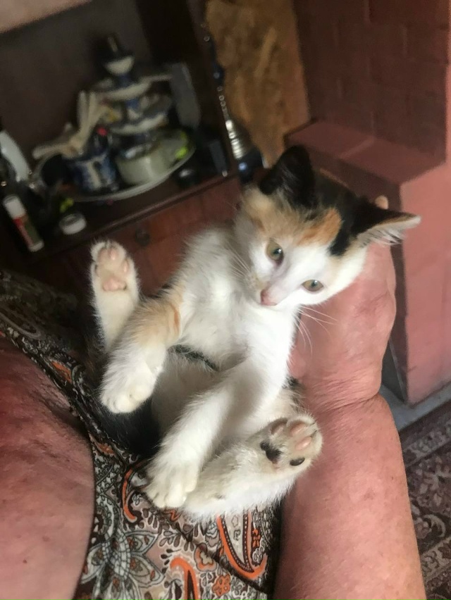 Лорик … мы по тебе скучаем..