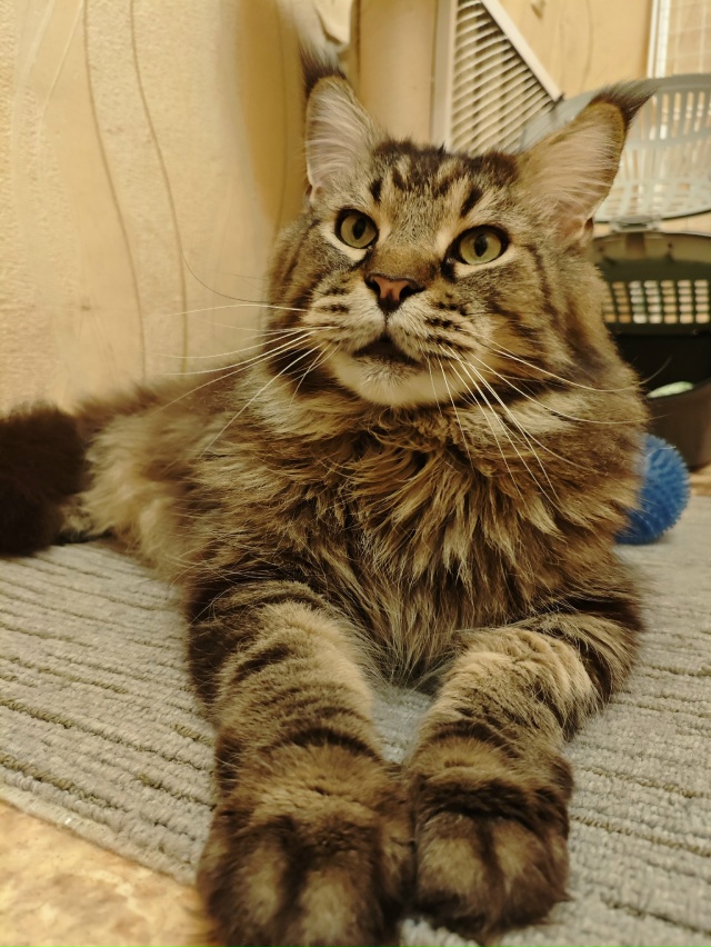 Джим. Что вы хотите мне сказать? 🤣Внимательно слушаю???...