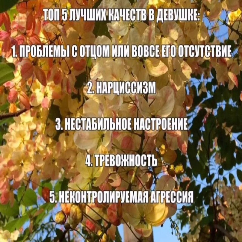 Утренняя подборочка