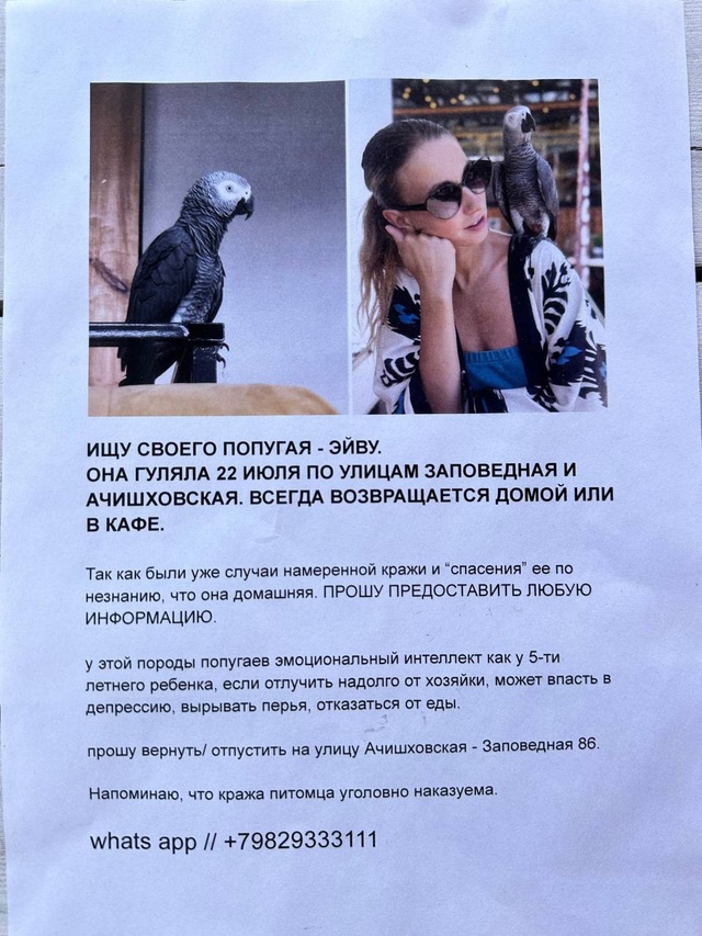 В Красной Поляне разыскивается необычный попугай жако...