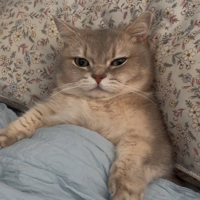 Ну идем уже споть, я же жду тибя в кроватке :3