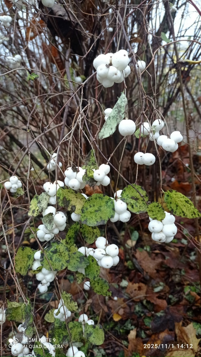 #КрасотыЛужскогоКрая