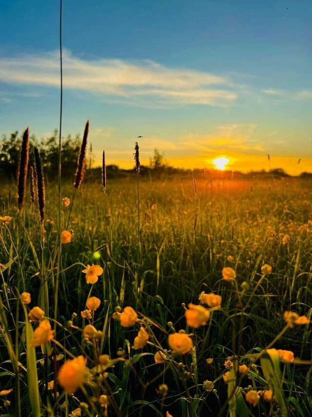 Наш округ в летом выглядит изумительно!☀
📍Село Вели...