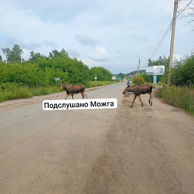 Вот они, красавчики 👍
Работники моста у 