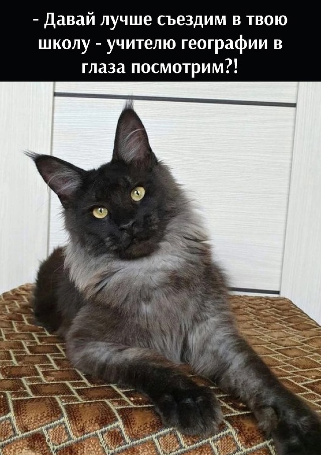 😃😃😃