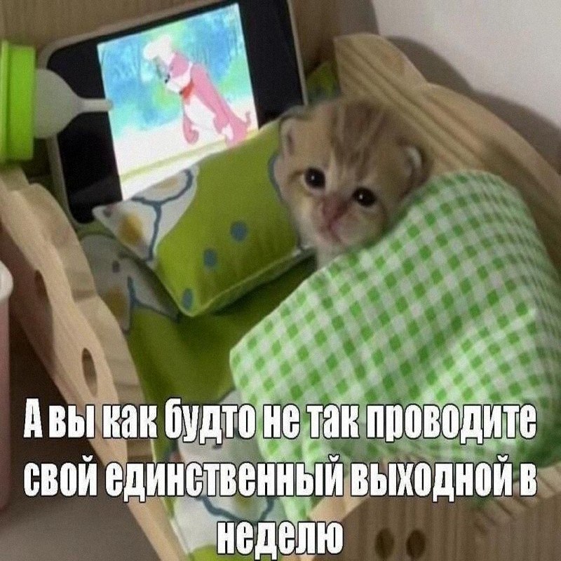 Утренняя подборочка