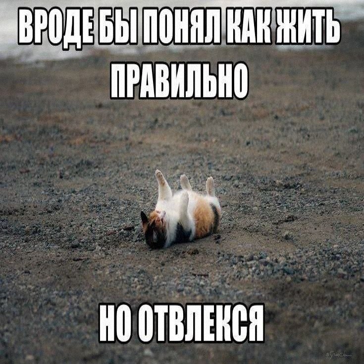 Утренняя подборочка