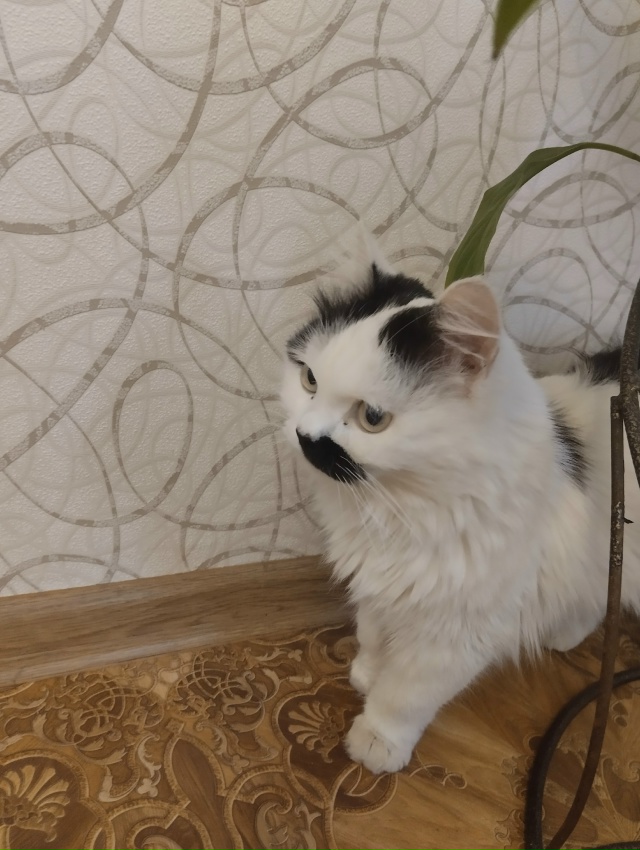 Ежедневно в 21 час по местному времени Ваши вопросы.
1⃣ ...