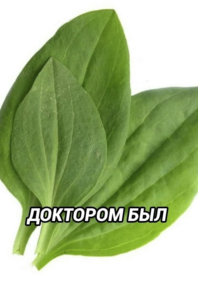 Ох, уж это богатое на события и опыт лето в деревне у ба?...