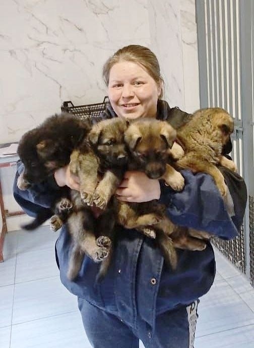 В свердловской колонии подрастают будущие служебные с...