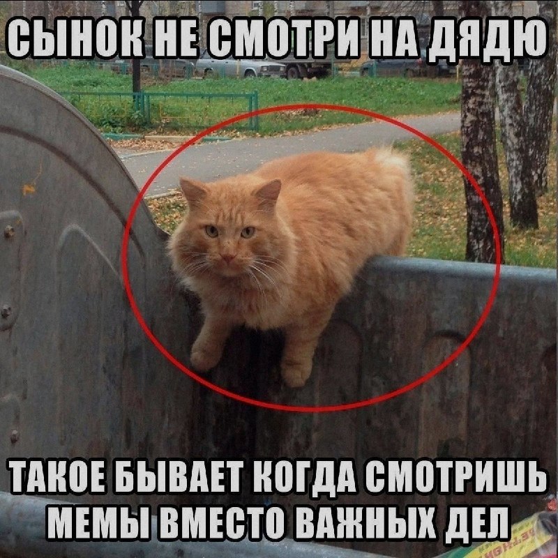 Ночная подборочка
Выходные, не спим
