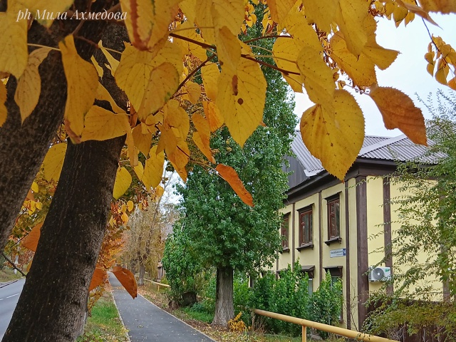 Красота в глазах смотрящего
Портпоселок 🍁🍂
Фотогра...