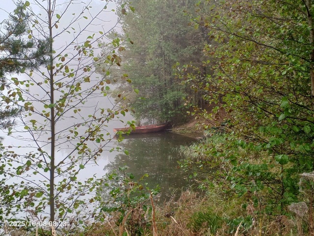 Ну как же не любить Россию?
Я тут родился, вырос и живу! ...