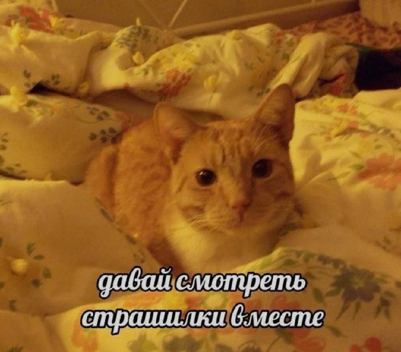 Ночная подборочка
Спать, режим