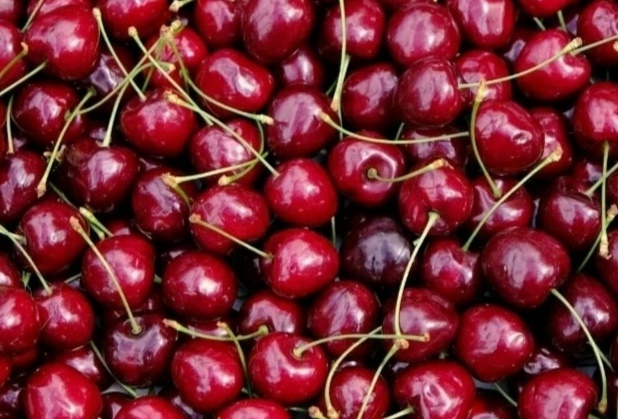 Продам вишню, сегодняшний сбор. В наличии 5 вёдер по 100 р...