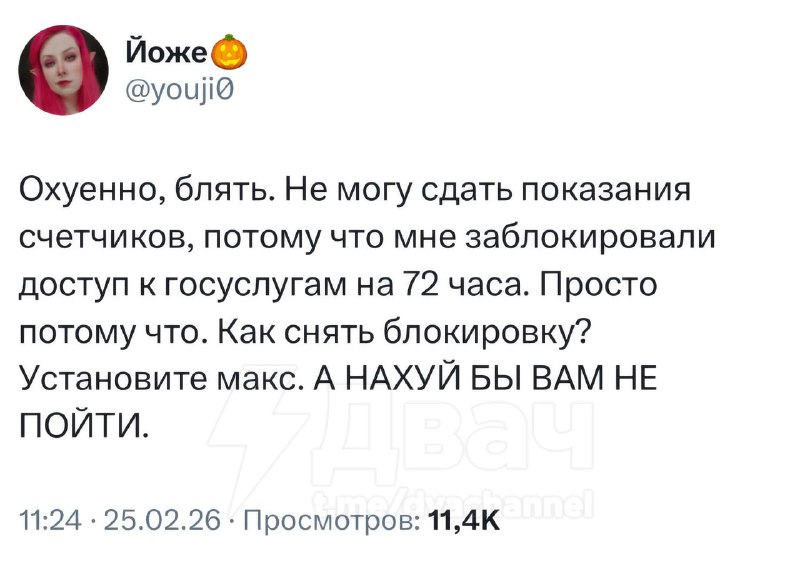 ⚡️У россиян массово отлетает доступ к «Госуслугам» — аккаунты улетают в бан на 72 часа из-за отсутст