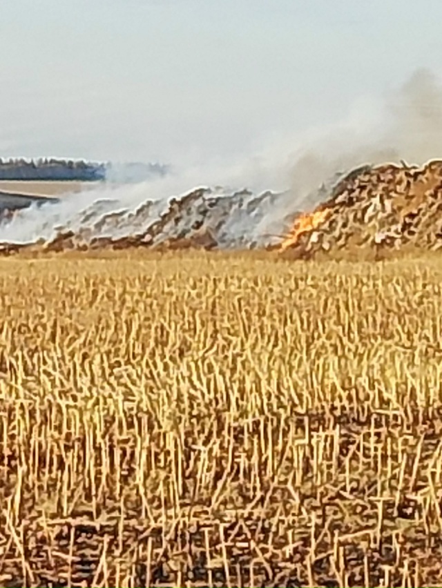 И снова наша многострадальная свалка.