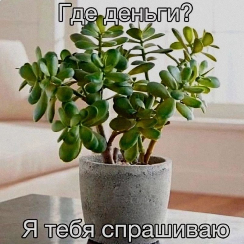 Ночная подборочка
Спать, режим