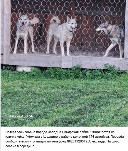 Пост добра. Распространите, пожалуйста.