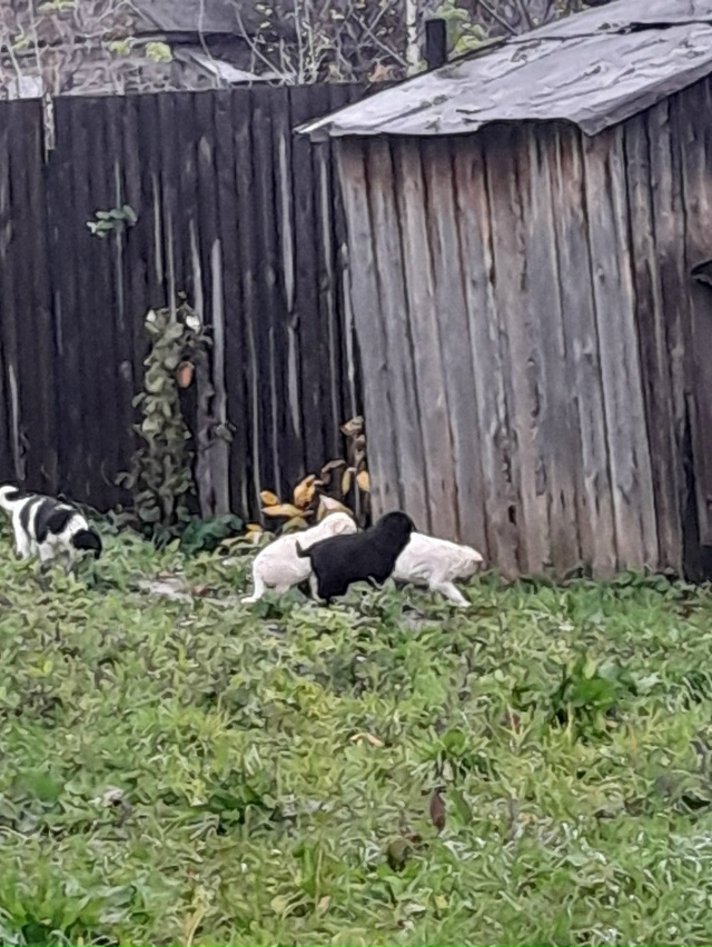 На улице Калинина за 