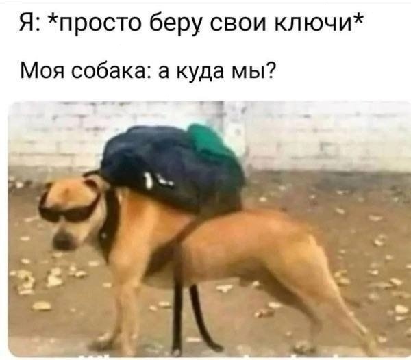 Так всегда
