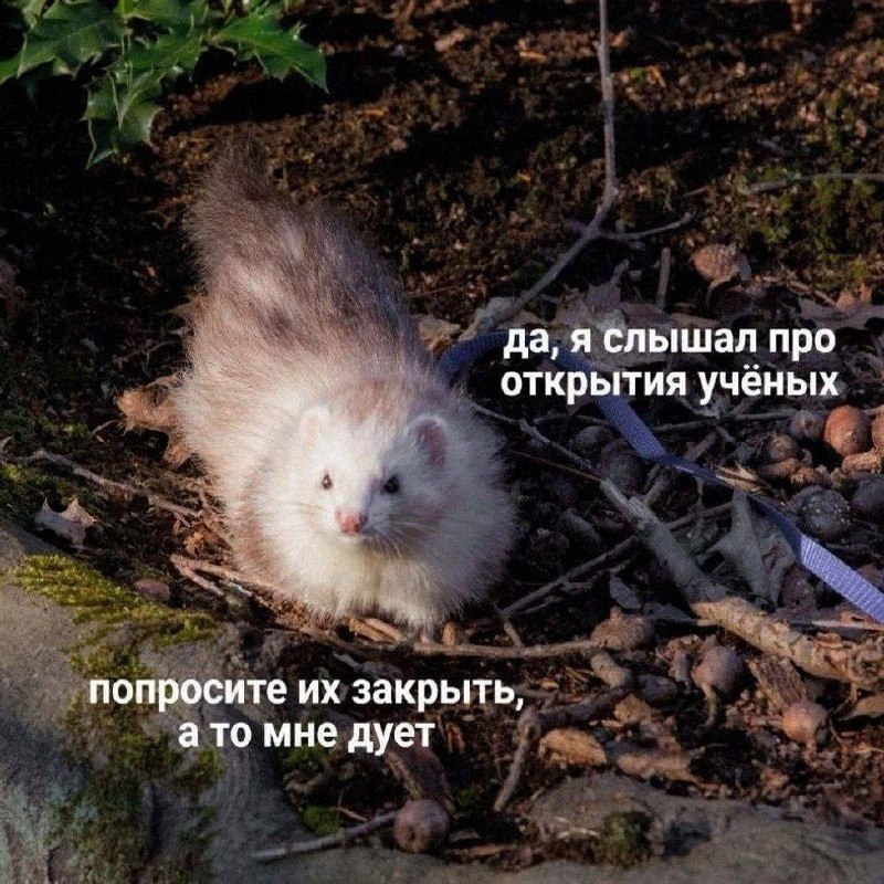 Утренняя подборочка