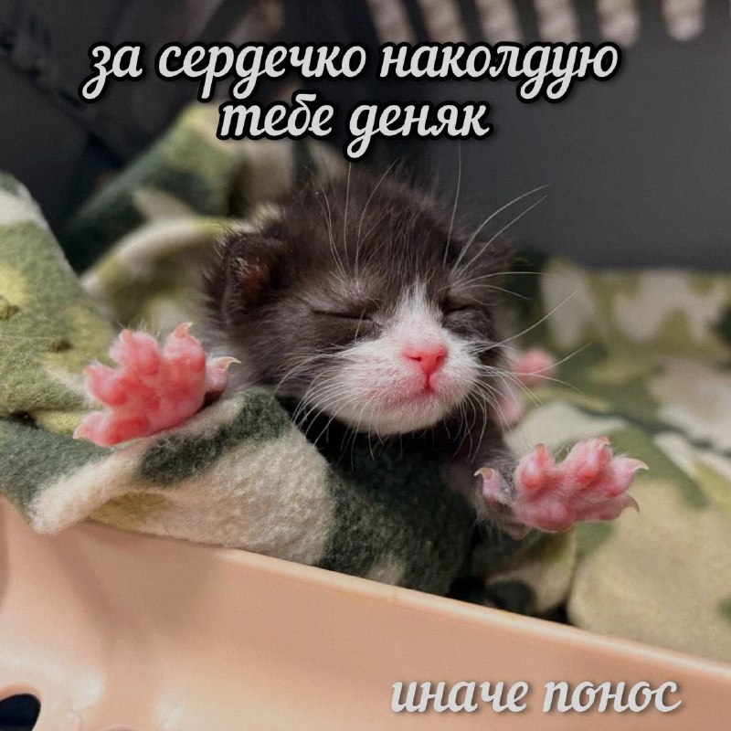 Ночная подборочка
Спать, режим