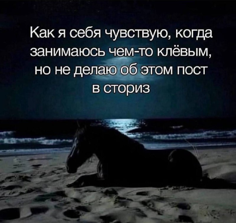 темная лошадка