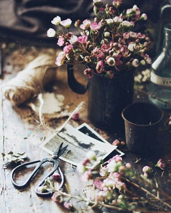 Маленькие радости - самые большие друзья настоящего сч...