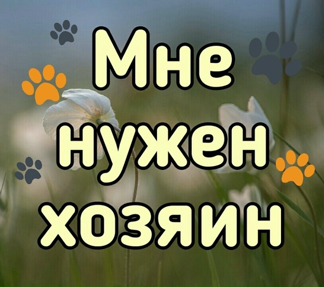 Спб, Петродворцовый , Ломоносовский район
ПРОСЬБА МАКС...