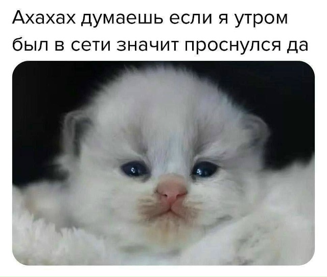 И повсюду обман))