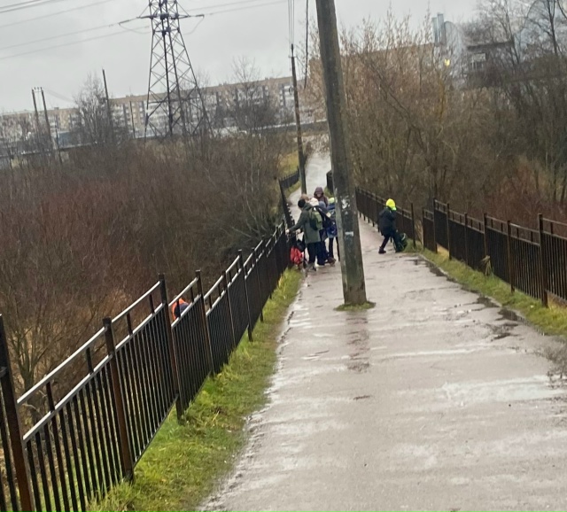 Дети,класса 4,кидают тележки в Святку.Родители,поговор?...