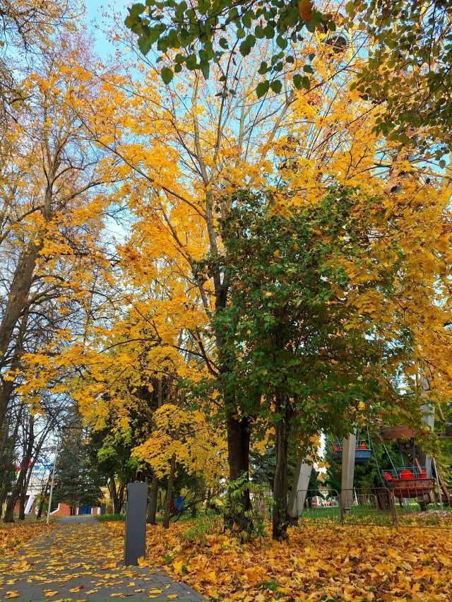✨️Моменты осени🍂 город Родники✨️🍁