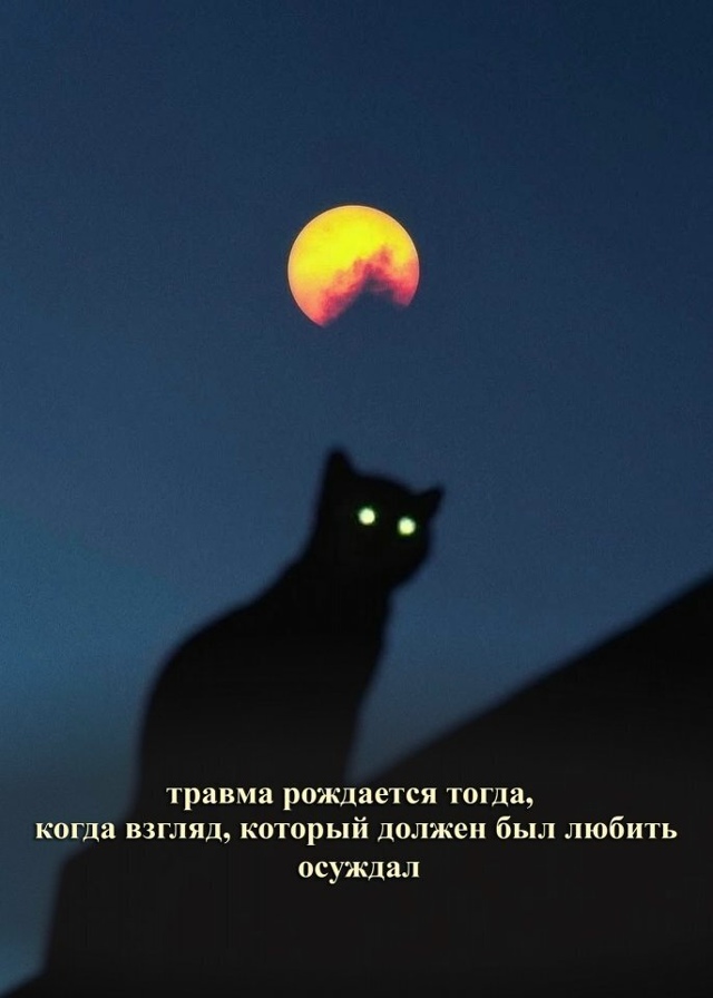 Травма не появляется сама по себе...