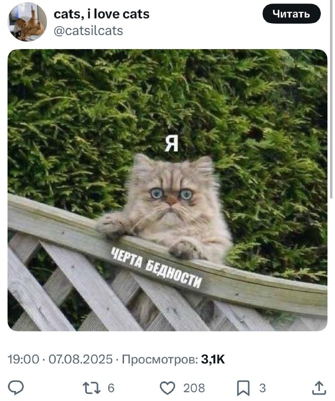 Все мы на второй день после зарплаты 🙂